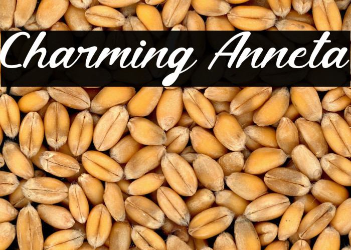 Charming Anneta Example 1