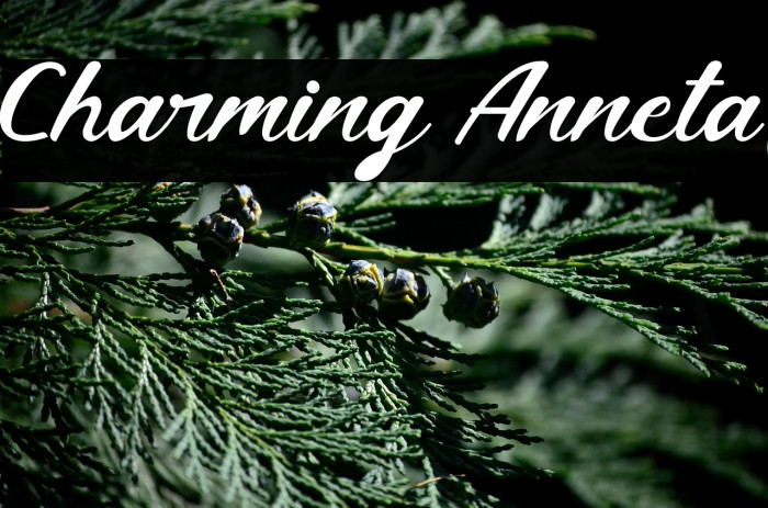 Charming Anneta Example 2