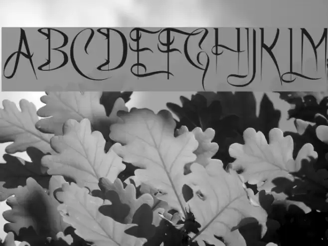 Charming Font フォント examples