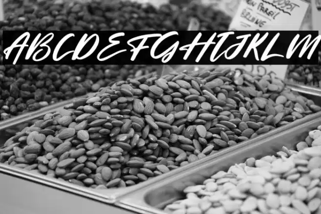 Charming Holiday Italic Font examples