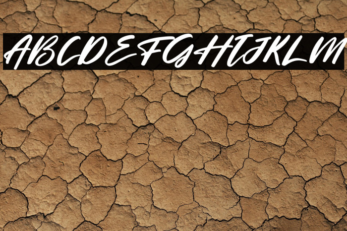 Charming Holiday Italic Example 2