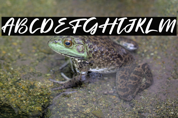 Charming Holiday Example 3