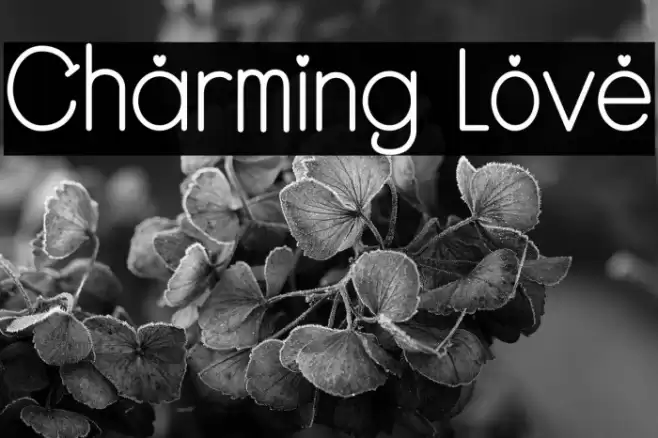 Charming Love Font examples