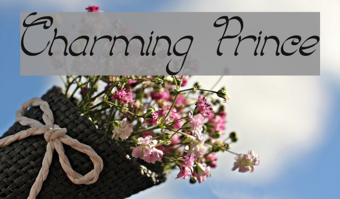 Charming Prince Font examples