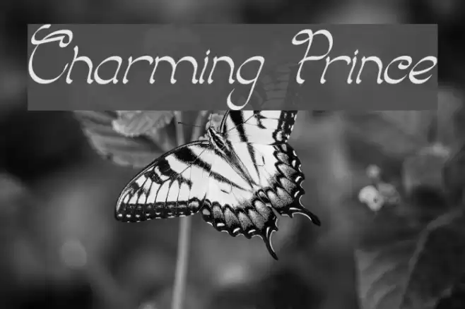 Charming Prince Font examples