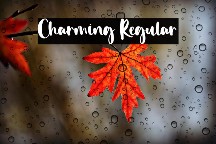 Charming Regular Example 2