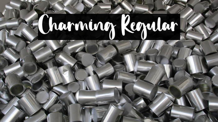 Charming Regular Example 3