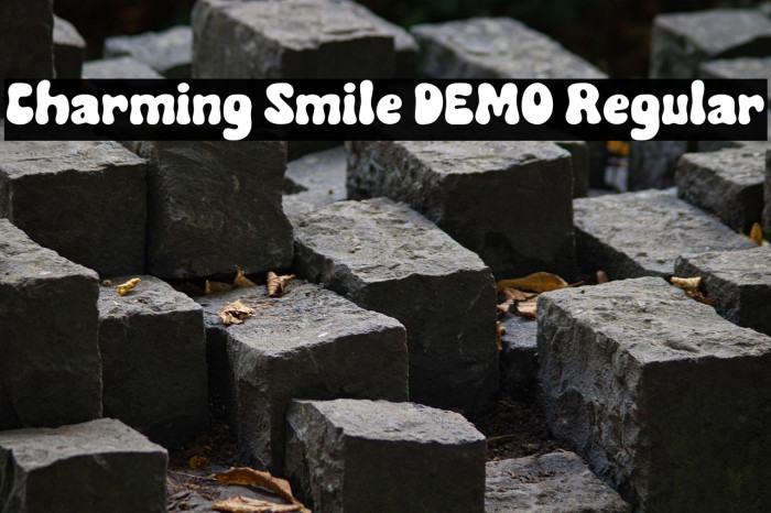 Charming Smile DEMO Regular Example 1