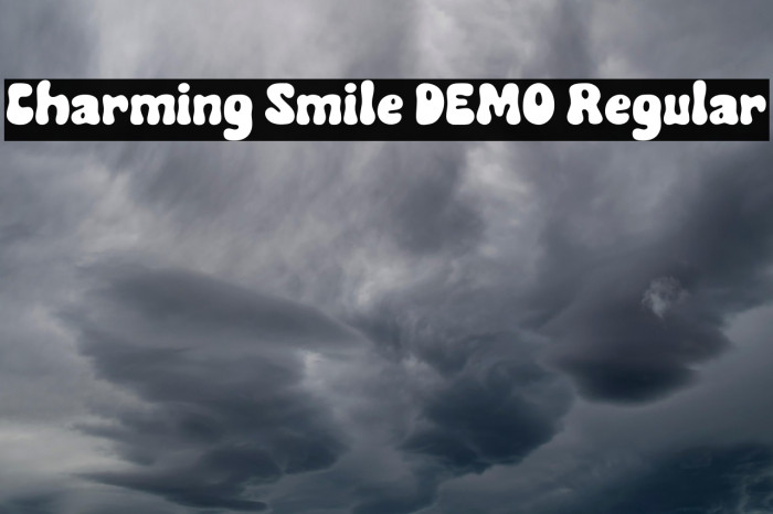 Charming Smile DEMO Regular Example 2