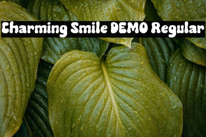 Charming Smile DEMO Regular Example 3