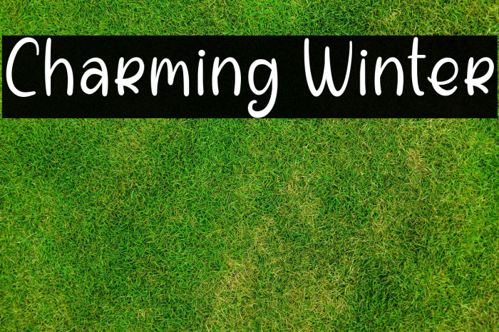 Charming Winter Example 1