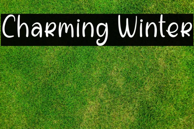 Charming Winter Example 1