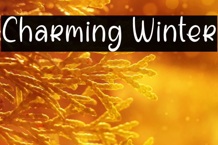 Charming Winter Example 2