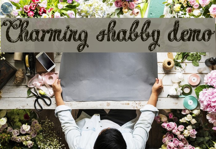 Charming shabby demo Font examples