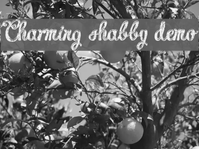 Charming shabby demo Font examples