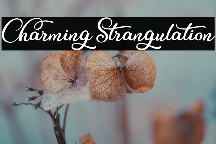 CharmingStrangulation Example 1