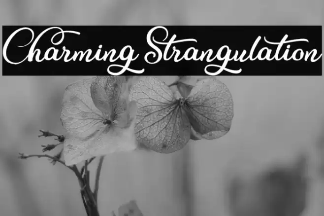 CharmingStrangulation Font examples