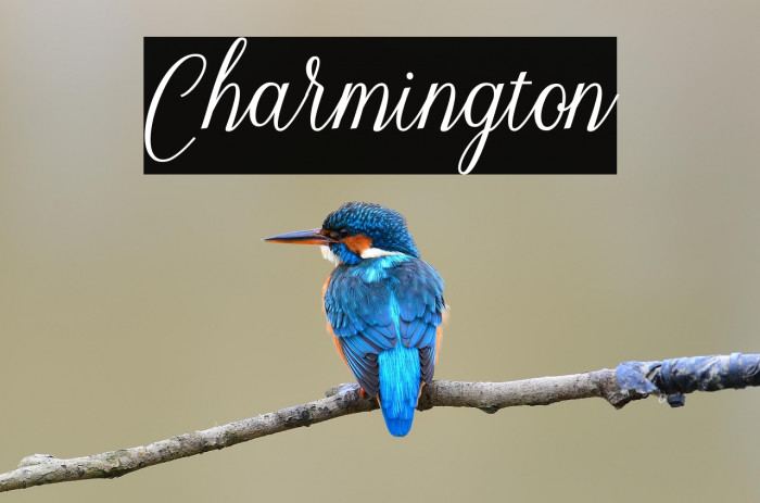 Charmington Example 1