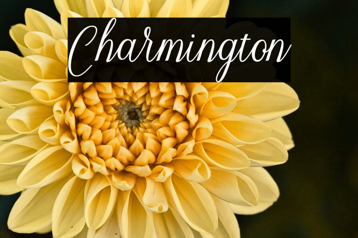 Charmington Example 2