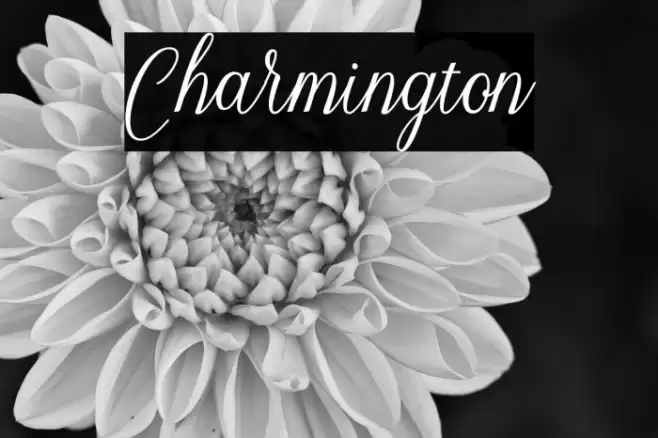 Charmington Font examples