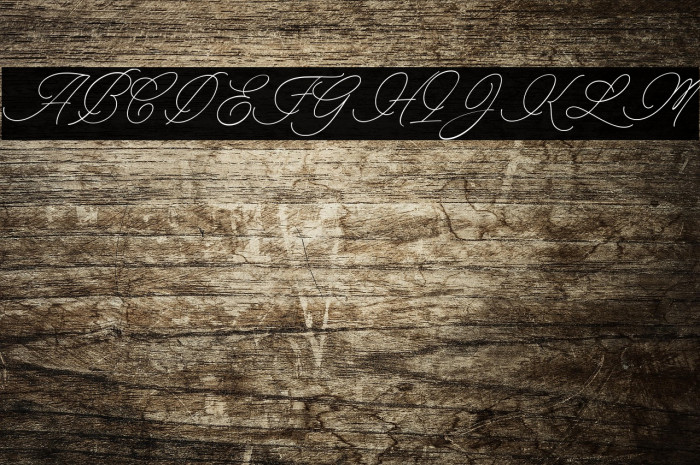 Charmline Script Personal Use Example 2