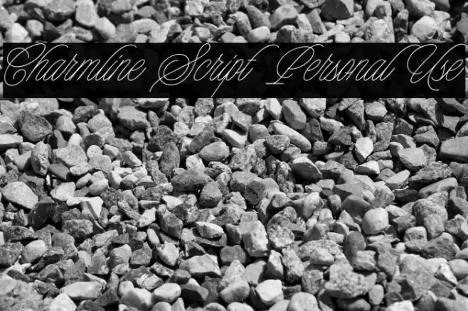 Charmline Script Personal Use Font examples