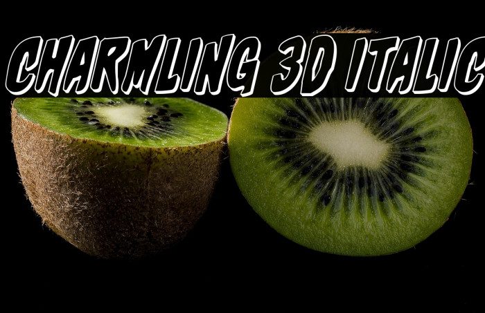 Charmling 3D Italic Example 2