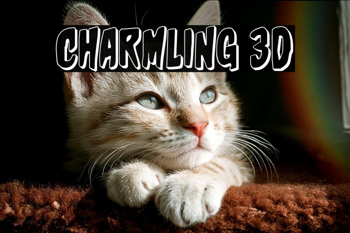 Charmling 3D Example 2