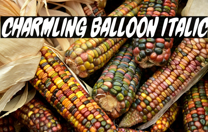 Charmling Balloon Italic Example 2