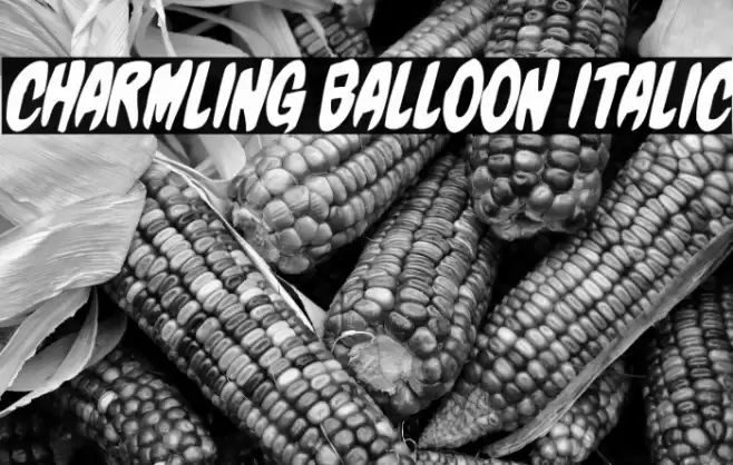 Charmling Balloon Italic Font examples