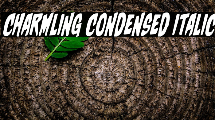 Charmling Condensed Italic Example 1