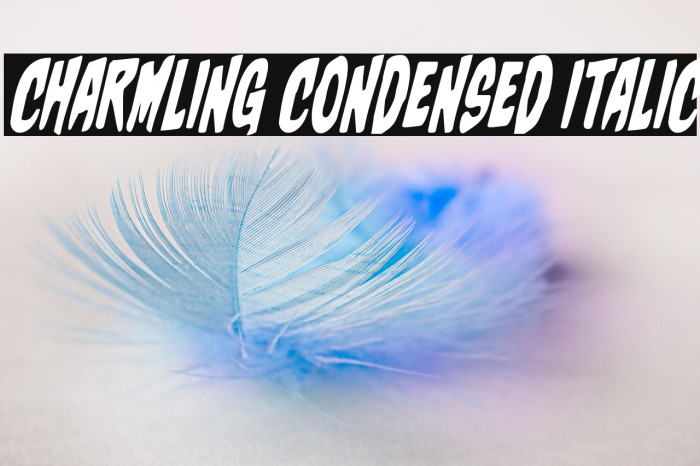 Charmling Condensed Italic Example 2