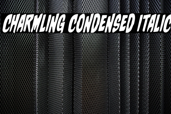 Charmling Condensed Italic Example 3