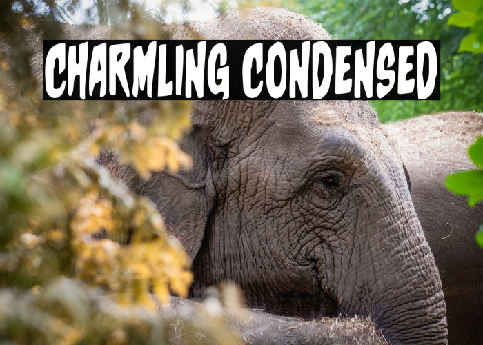Charmling Condensed Example 1
