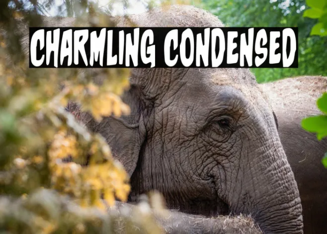 Charmling Condensed Example 1