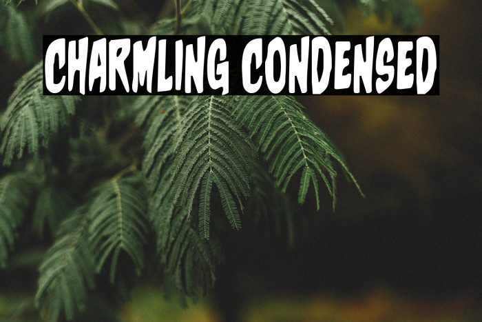 Charmling Condensed Example 2