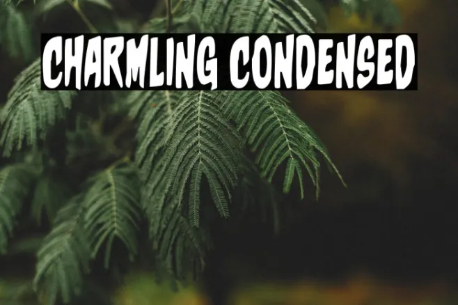 Charmling Condensed Example 2