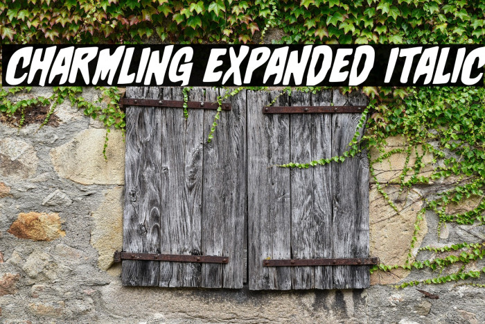 Charmling Expanded Italic Example 1