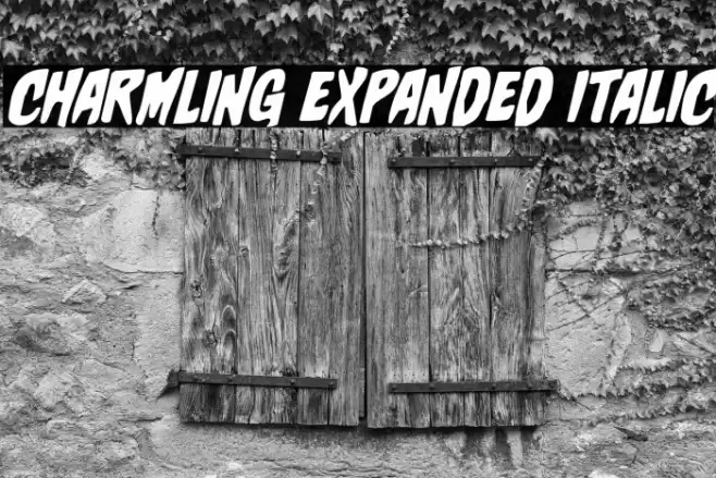 Charmling Expanded Italic Font examples