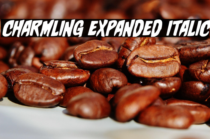 Charmling Expanded Italic Example 2