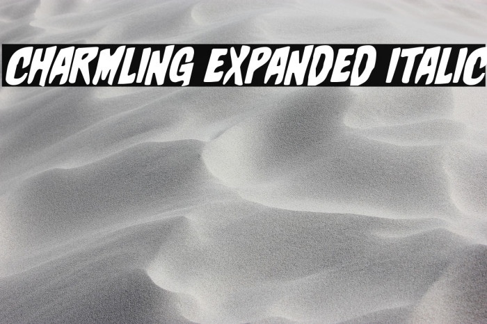 Charmling Expanded Italic Example 3