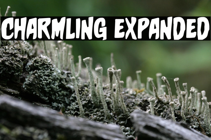 Charmling Expanded Example 3