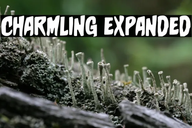 Charmling Expanded Example 3