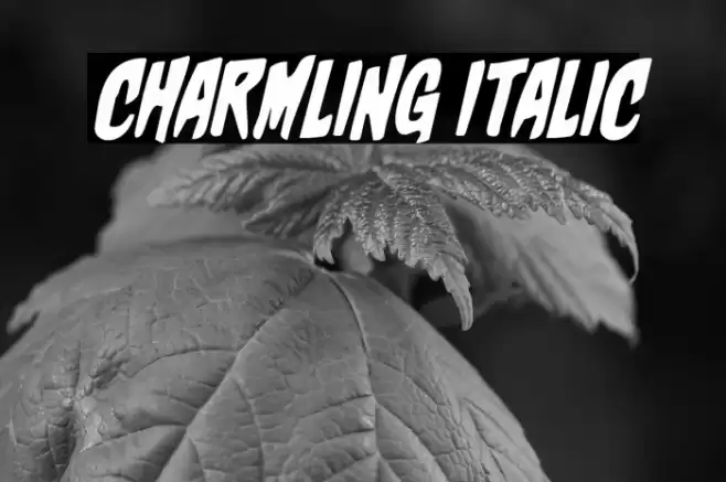 Charmling Italic Font examples