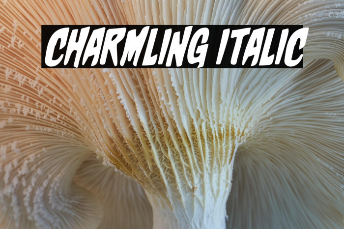 Charmling Italic Example 3