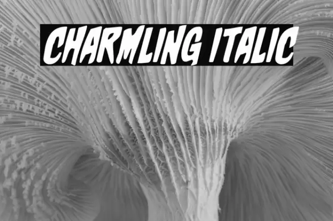 Charmling Italic Font examples