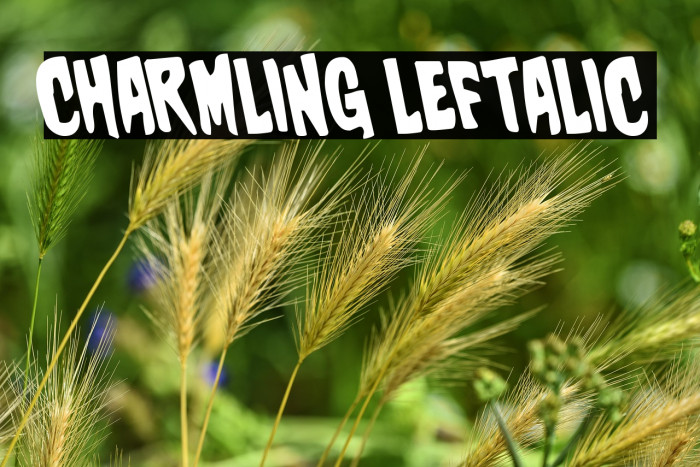 Charmling Leftalic Example 2