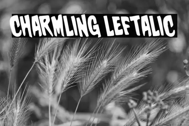 Charmling Leftalic Font examples