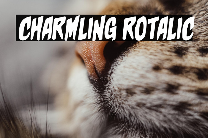 Charmling Rotalic Example 2