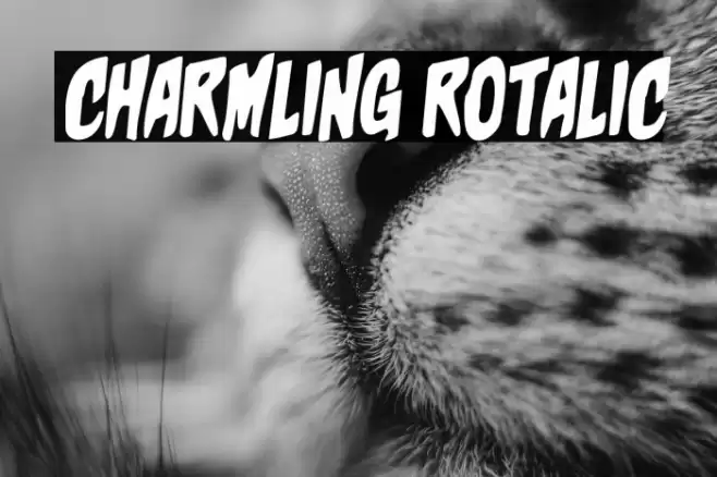 Charmling Rotalic Font examples